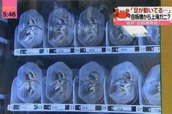 10 izjemnih stvari, ki jih lahko kupite na Kitajskem