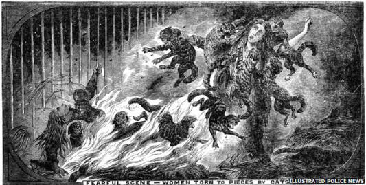 _71735015_mučke-mačke