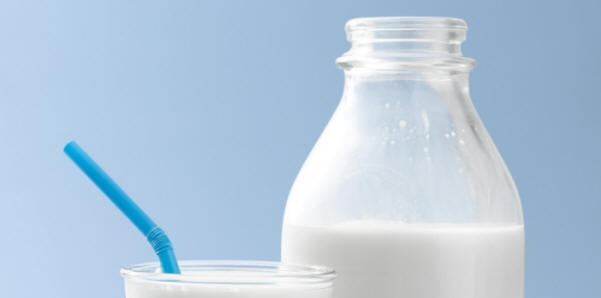 costy01 10 najdražja hrana na Japonskem