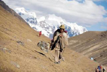 1600 let star led se je stopil v samo 25 letih