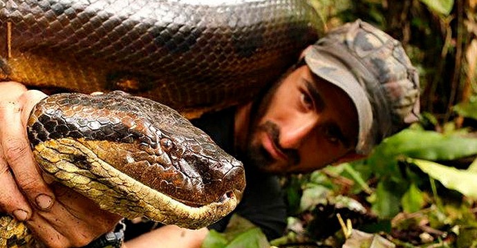 In si hotel, da te poje anakonda?