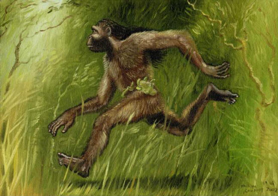 Agogwe: Skrivnost afriških poraščenih palčkov