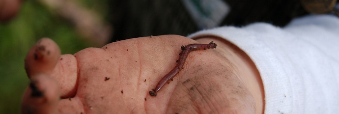 Alkoholizem bo pomagal premagati ne prepovedi, temveč navadne črve.