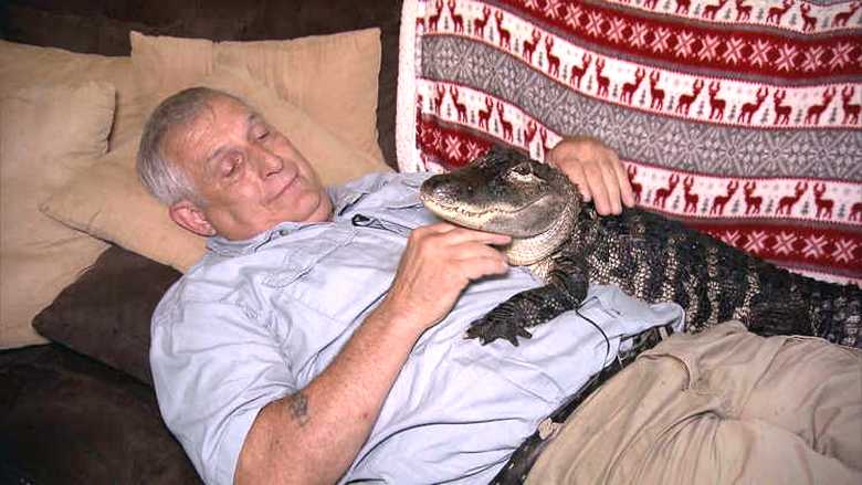 Aligator - kot zdravilo za depresijo