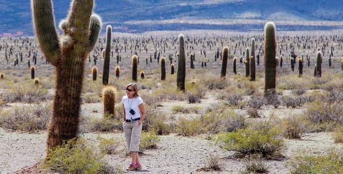 Američani izginejo brez sledu v svojih nacionalnih parkih.