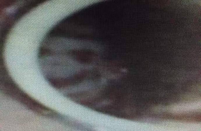 Američan je delil fotografije in videoposnetke duhov