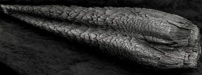 Američan prodaja artefakt nezemeljskega izvora