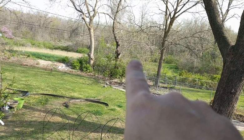 Američan je posnel čudne luči v gozdu