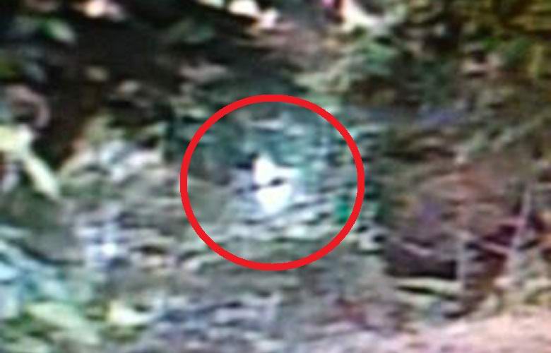 Američan trdi, da je fotografiral tujca