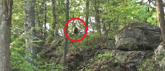 Američan trdi, da je v videu posnel več snežakov