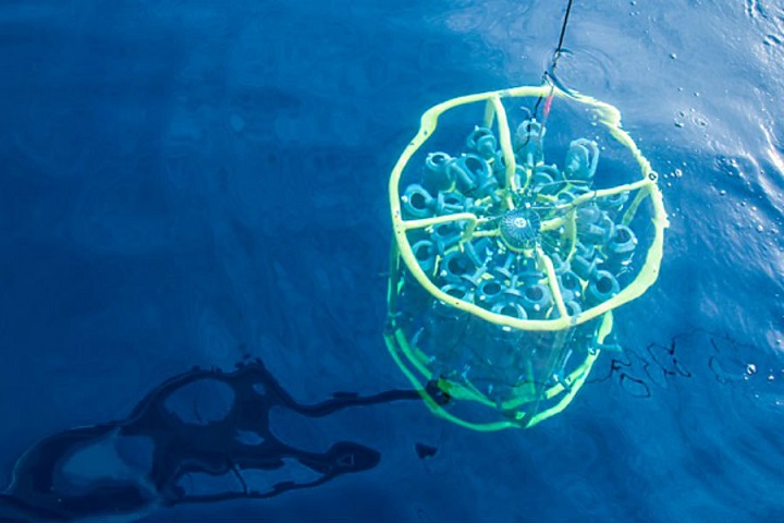 Ameriška vojska ponovno eksperimentira z bakterijami