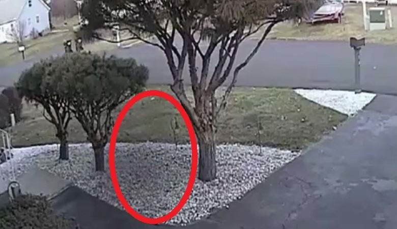 Ameriški novinarji so pokazali duha