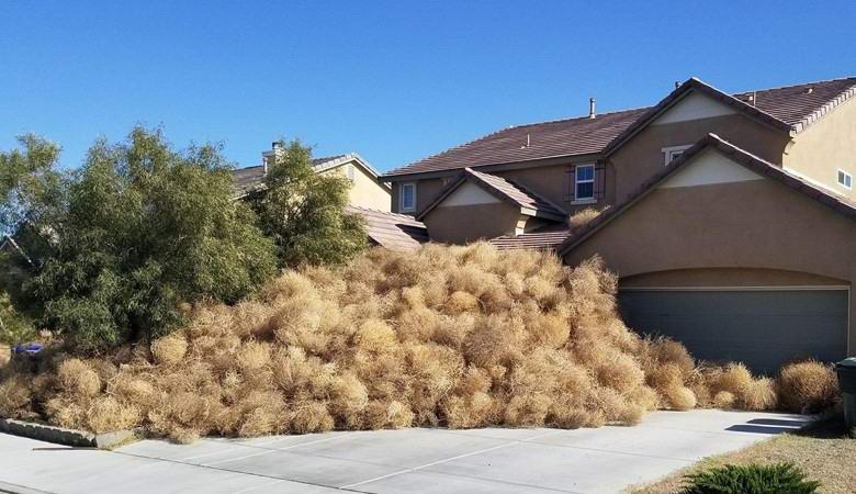 Ameriško mesto množično