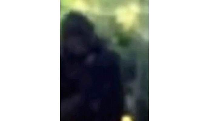 Ameriški policist fotografiral yeti