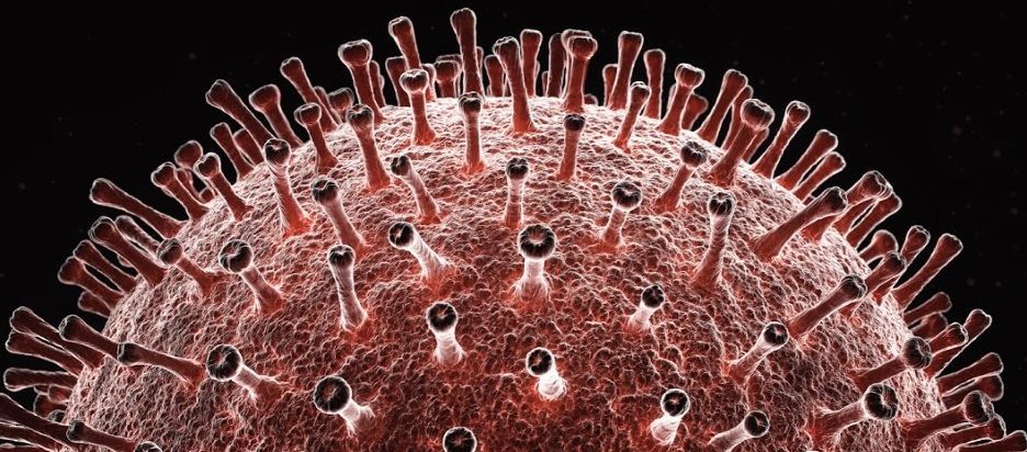 Analiza genoma razkriva, da je koronavirus morda 