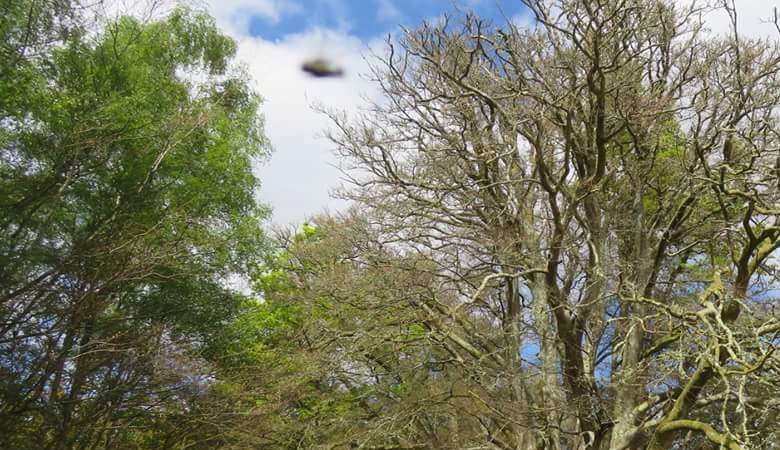 Anglež je jasno fotografiral