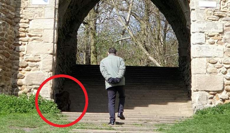 Angleščina je v parku ujela nerazumljivo bitje.