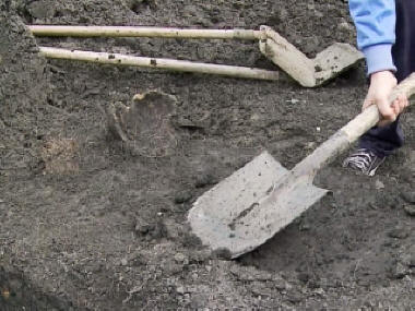 Angleški znanstveniki so našli sledi moškega, starega vsaj 800 tisoč let.