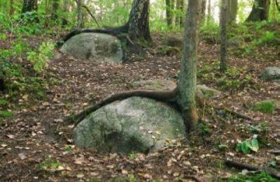 Anomno središče Zemlje