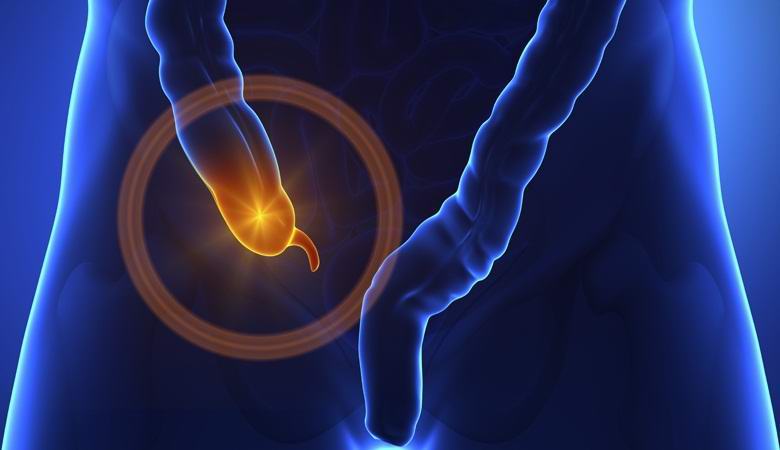 Dodatek se je izkazal kot vitalni organ.