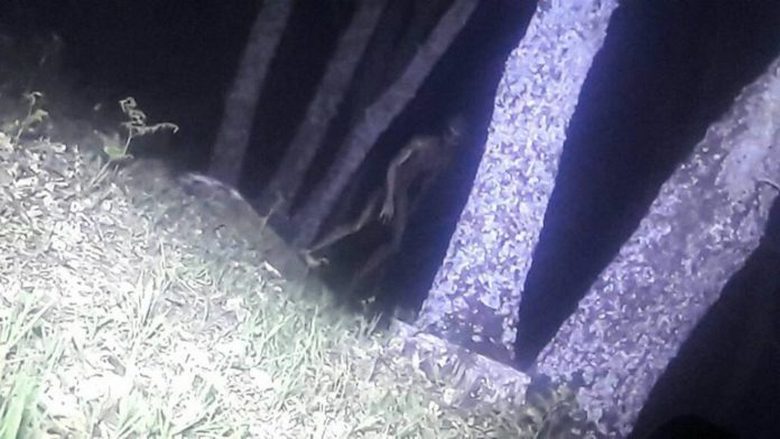 Argentinska policija je fotografirala tujca