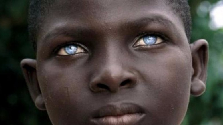 Avstralski staroselci ovržejo prejšnje ideje o izvoru človeka.