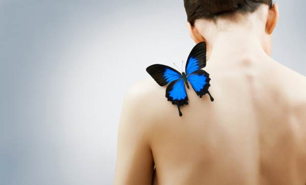 metulj je sedel na rami 