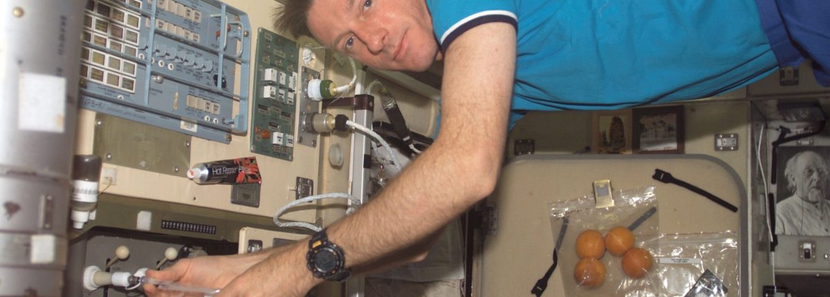 Bakterije na Mednarodni vesoljski postaji niso nič bolj nevarne kot sevi tal 