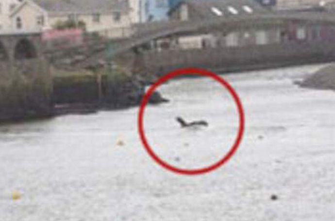 Barmouth pošast lahko postane konkurenca pošasti Loch Ness
