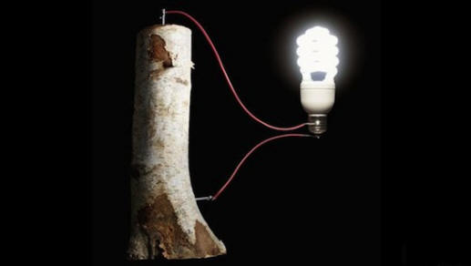 Baterije so lahko iz lesa