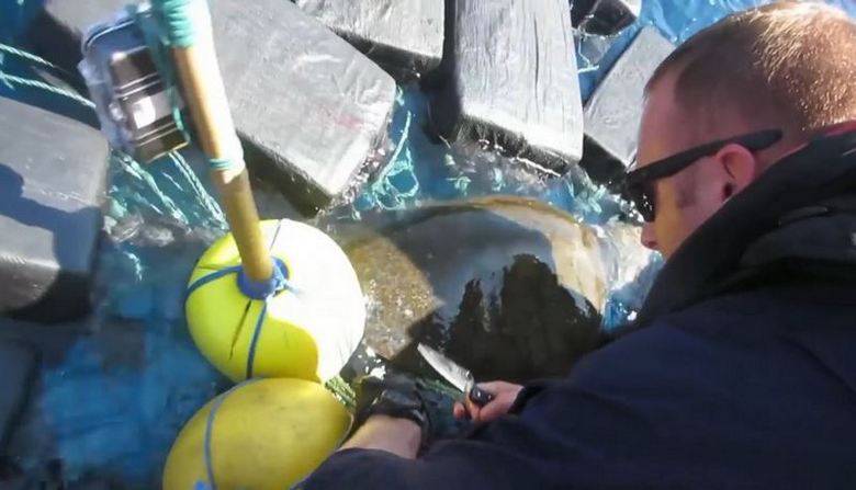 Ameriška obalna straža je ujela želvo z 800 kg kokaina