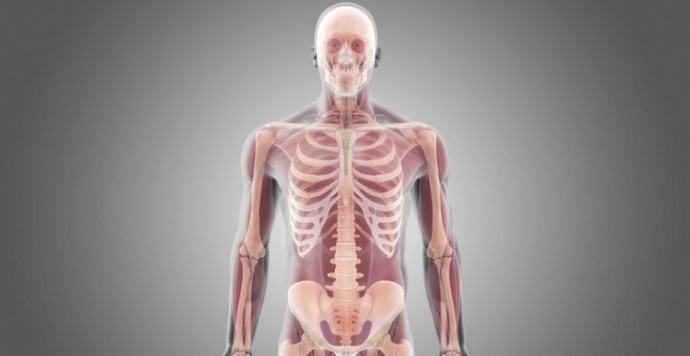 Nesmrtnost človeka - morda v bližnji prihodnosti