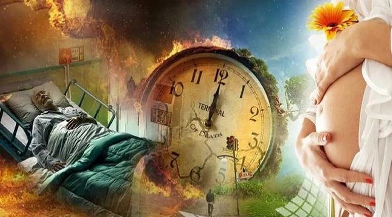 Nesmrtnost na Zemlji - pot do