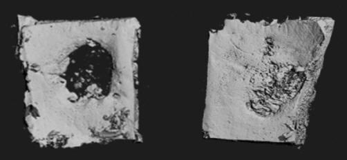 potencialne uporabe-za zobozdravstvo-od-vsadkov do kraniofacialnih napak