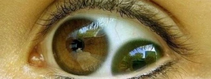 Ali obstaja dvojni učenec?