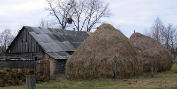 Tesni stik s tujcem na Pinskem.