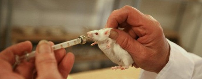 Bolečina lahko blokira svetloba.