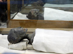 Britanski znanstveniki: Tutankhamun je umrl v nesreči.