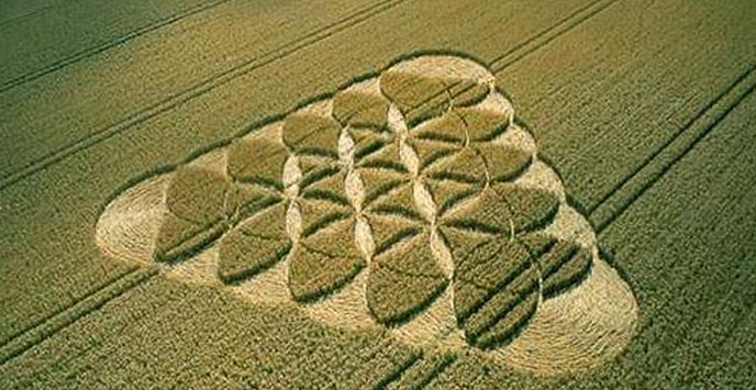 Britanske oblasti postavljajo kroge na polja, da jih imenujejo ponaredki.