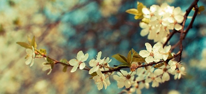 Kaj hočejo ženske 8. marca ... in moški?