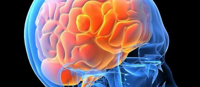 Človeški možgani si zapomnijo besede kot slike