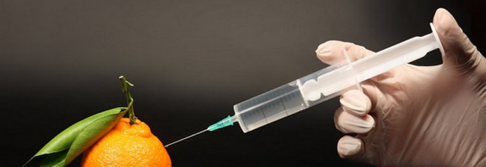 Človeštvo bo uničilo GSO