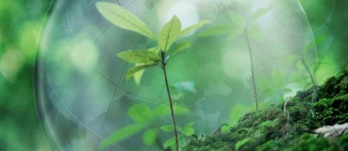 Človeštvo je letos uspelo porabiti zemeljske vire.