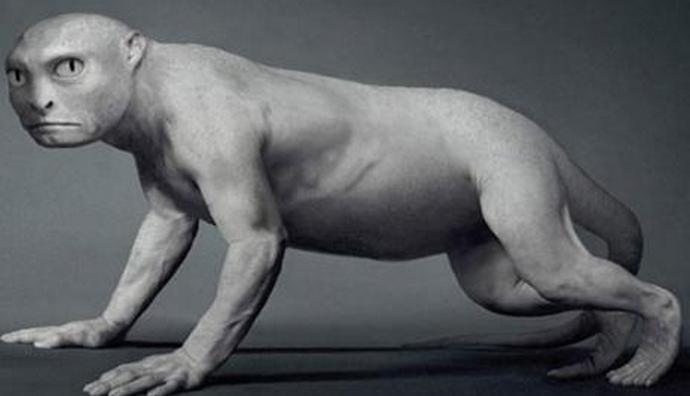 Ali je moški sestopil s podgane?