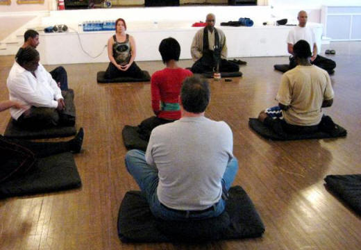 Človek lahko samostojno uredi delo imunosti