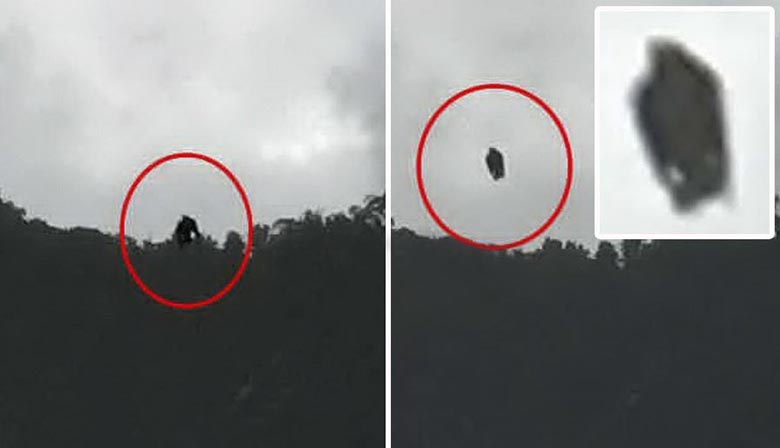 Črni humanoid po nesreči zadene objektiv fotoaparata
