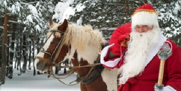Kaj nam pripravlja leto konja