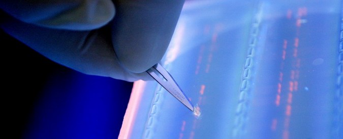 Kaj nadomešča trdi disk in bliskovni pomnilnik