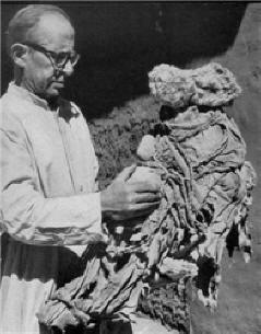 Kaj ste našli v Čilu?