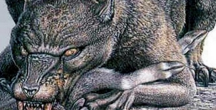 Chupacabra se je pojavila na območju Saratov